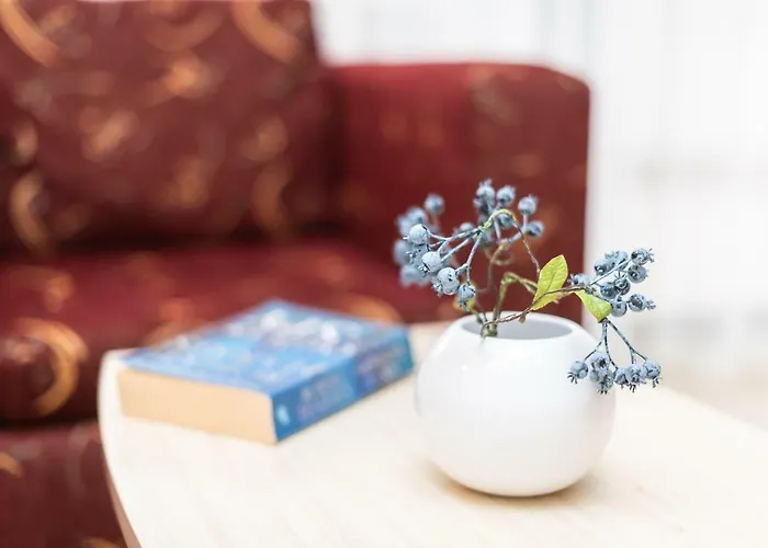 Διαμέρισμα Complex Severina